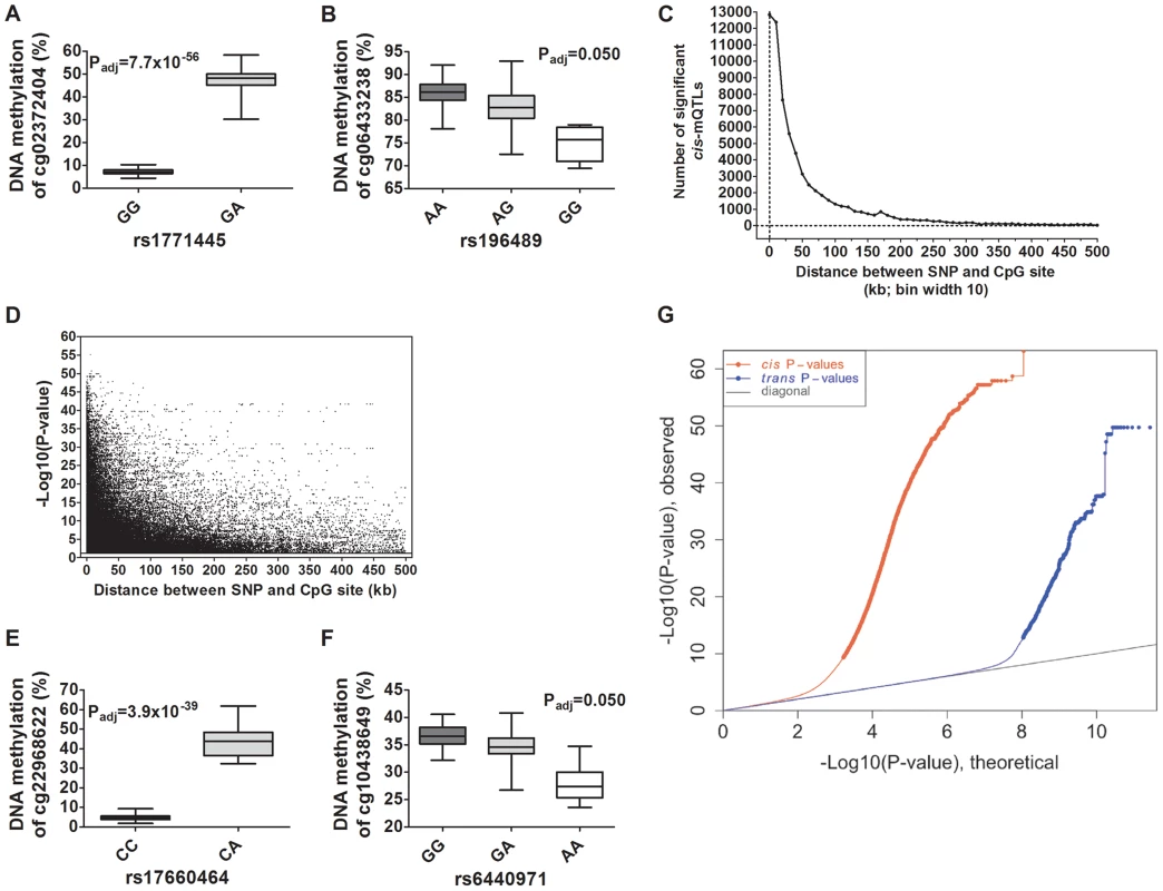 Depiction and distance analysis of associations between genotype and DNA methylation of significant mQTLs in human pancreatic islets.