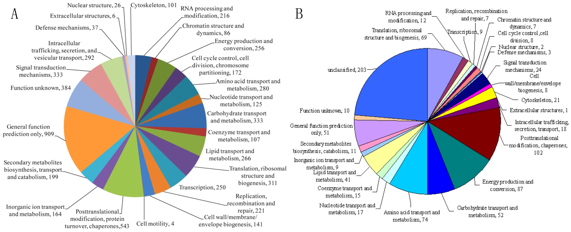Annotation of the <i>A. oligospora</i> genome and proteome by COG/KOG categories.