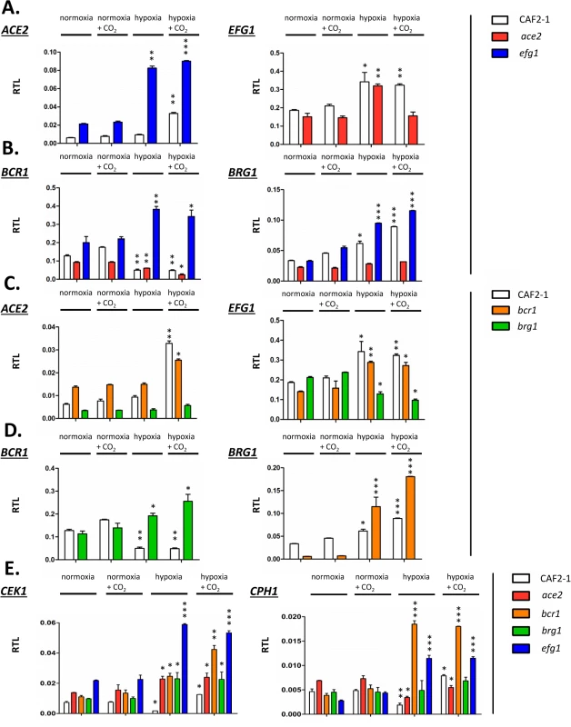 Transcriptional regulation of Efg1 and Ace2 target genes under hypoxia.