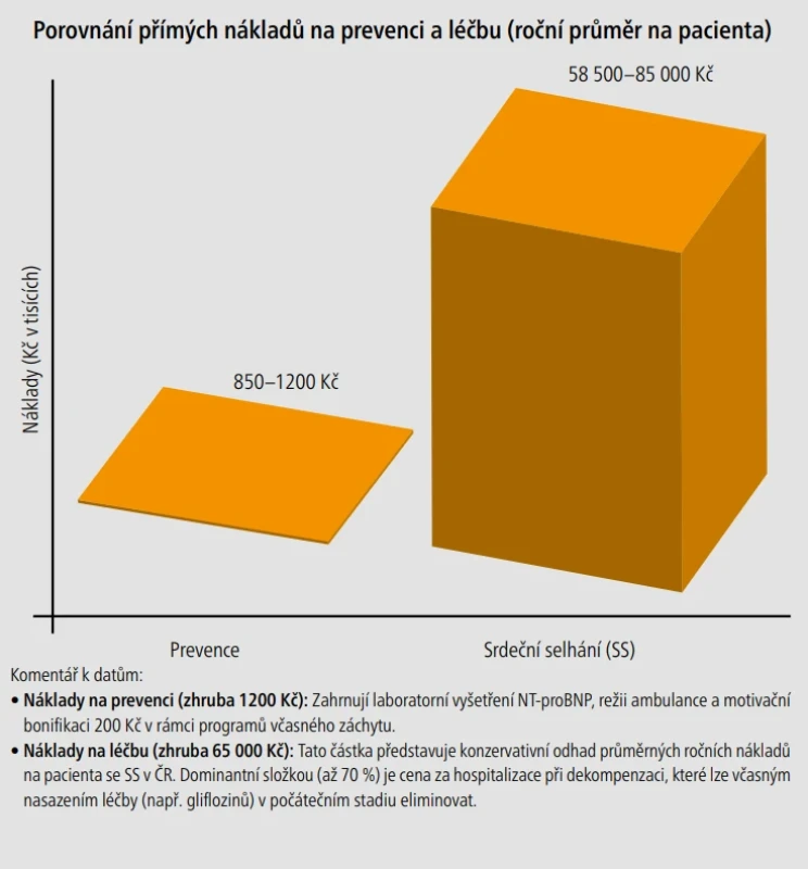  – Srovnání přímých ročních nákladů na preventivní screening pomocí NT-proBNP (včetně bonifikace pojišťovny) oproti průměrným nákladům na pacienta s rozvinutým srdečním selháním v ČR. Včasná diagnostika v ambulanci VPL představuje zásadní úsporu pro zdravotní systém snížením počtu akutních hospitalizací.