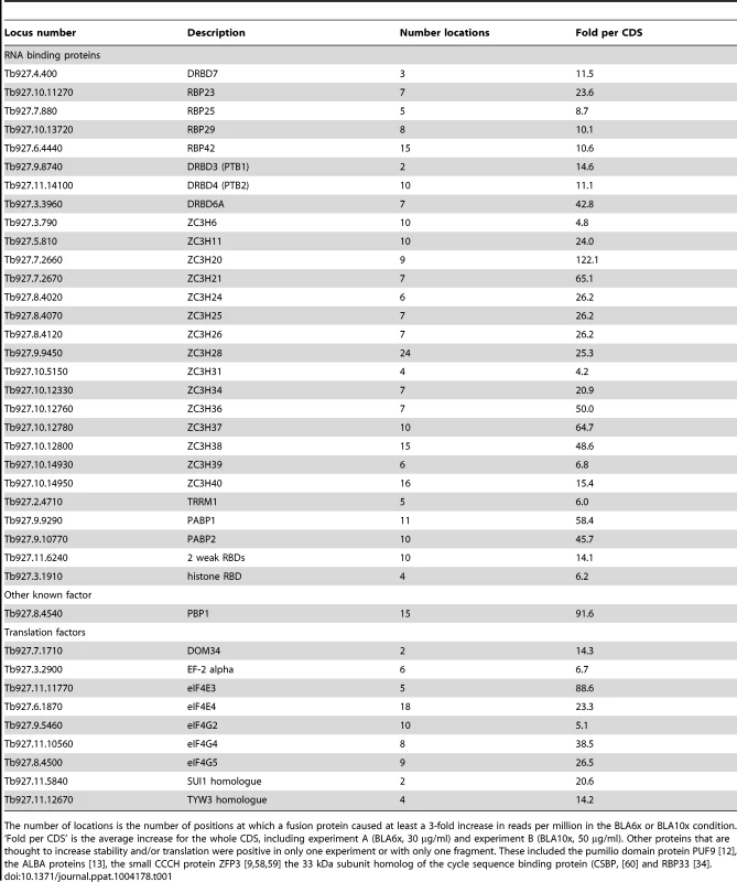 RNA-binding proteins and translation factors that increase BLA resistance.
