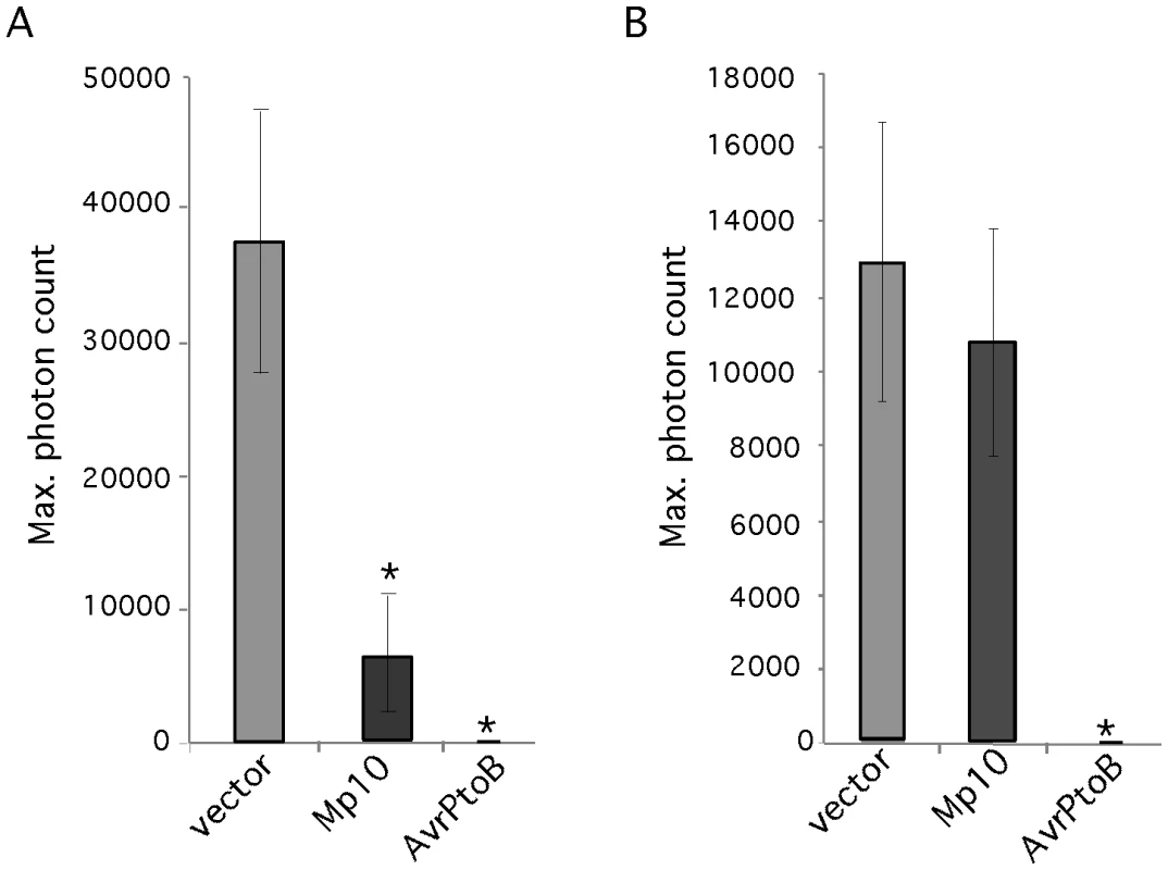 Mp10 suppresses the oxidative burst induced by flg22, but not chitin, in <i>N. benthamiana</i>.