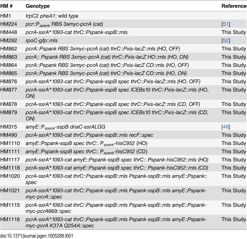 Strains used in this study.