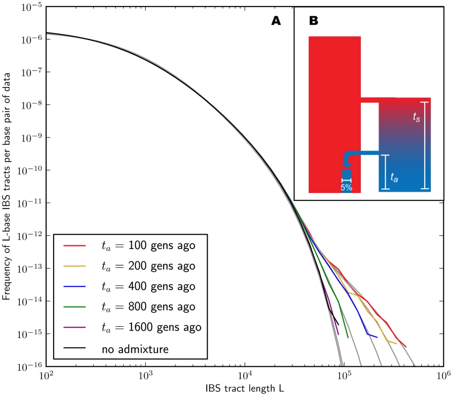 Spectra of IBS sharing between simulated populations that differ only in admixture time.
