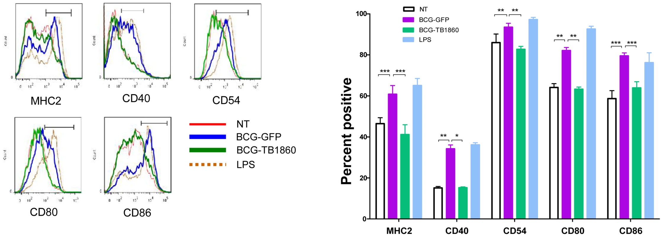 (A). Flow cytometry analysis of surface co-stimulatory molecules on infected BMDC.