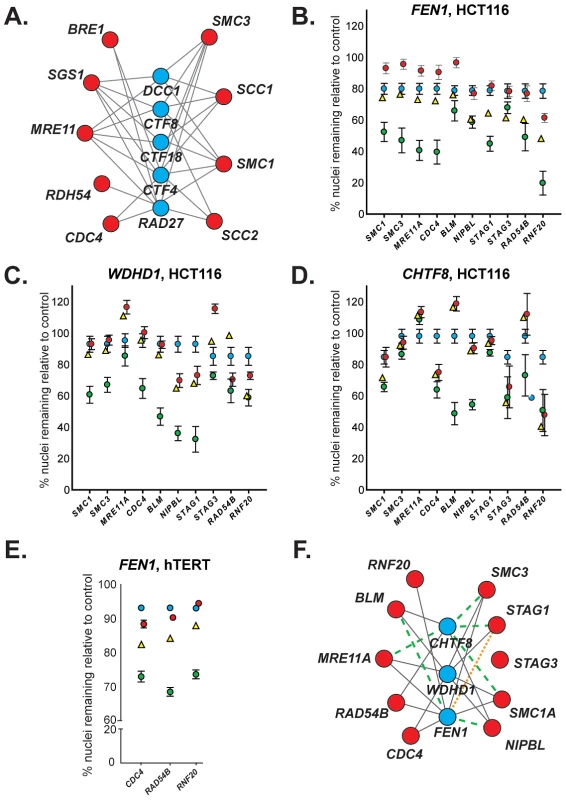 Evolutionary conservation of synthetic lethal interactions in HCT116 cells.