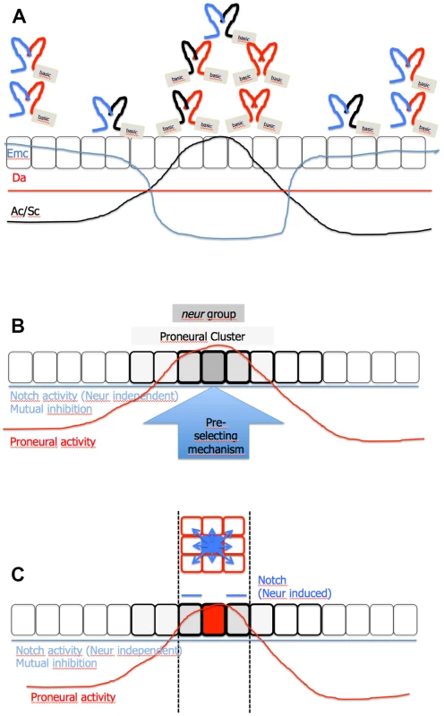 Model of SOP selection.