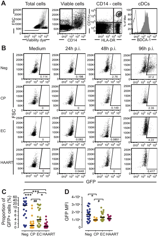 Susceptibility of primary cDCs to <i>ex-vivo</i> infection with HIV-1.