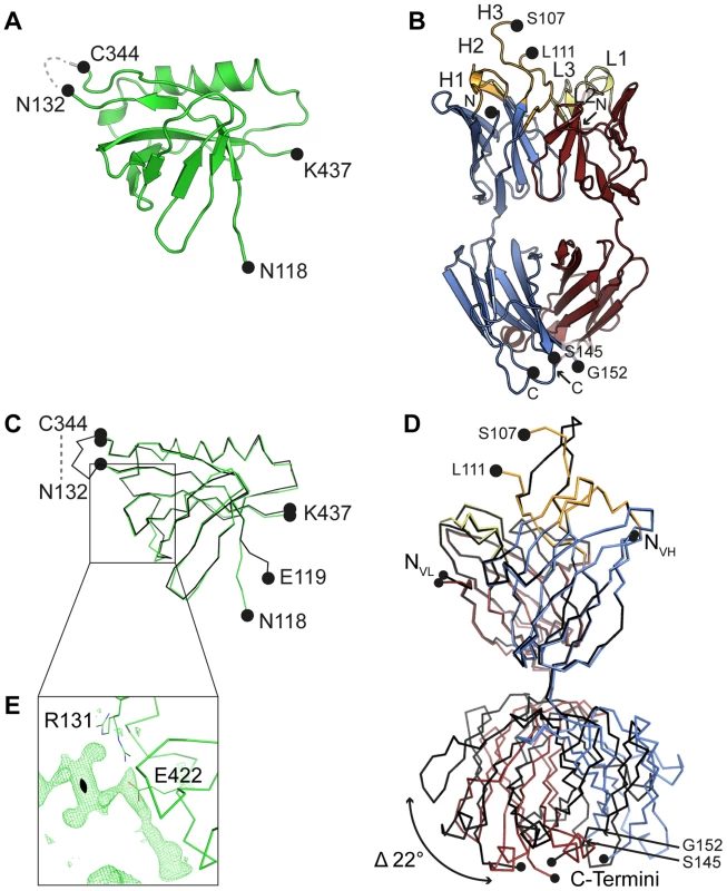 Crystal structures of unbound Dom-II and SM5-1.
