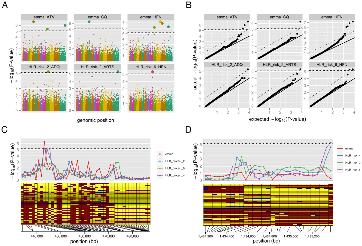 Genome-wide association study (GWAS) results.