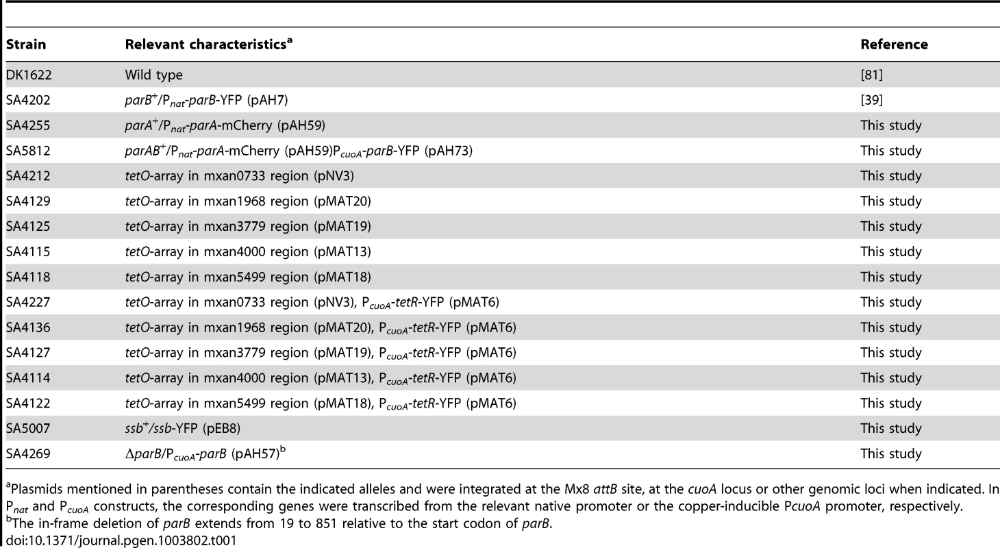 <i>Myxococcus xanthus</i> strains used in this work.