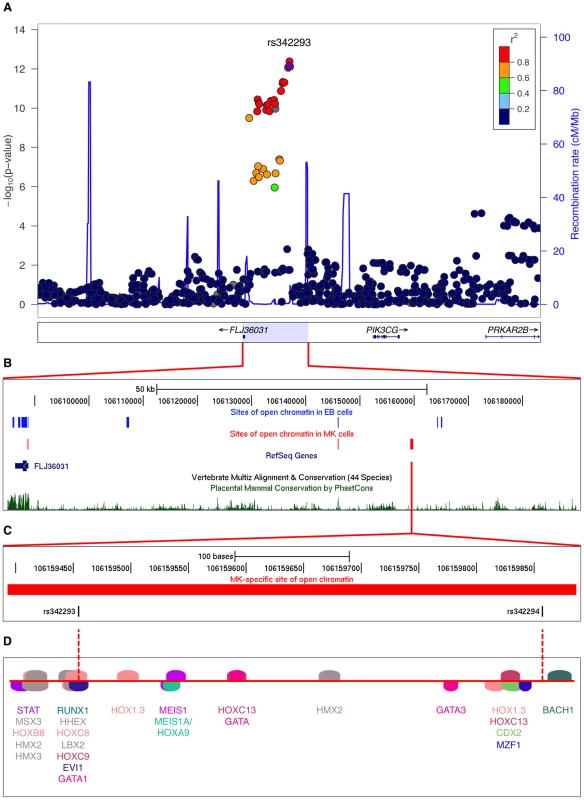 Functional follow-up of the 7q22.3 locus associated with platelet volume and function.