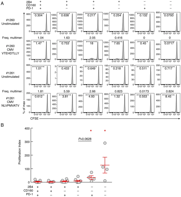 Proliferative capacity virus-specific CD8 T-cell populations is influenced by co-inhibitory molecule expression.