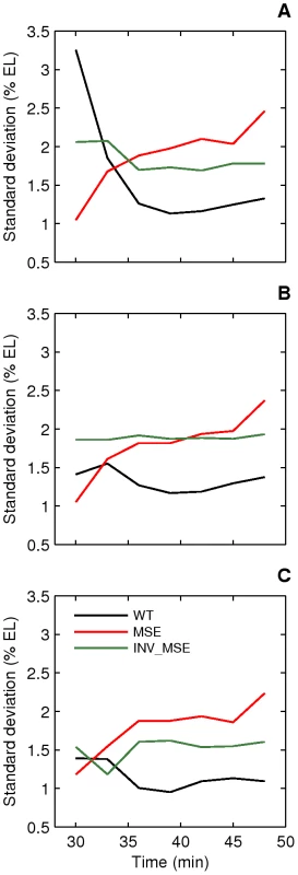 Dynamics of stripe position variation.