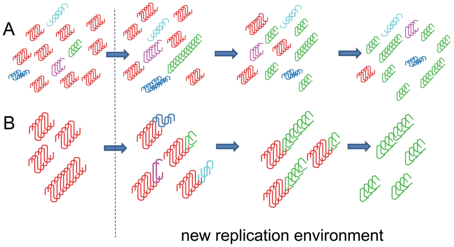 Schematic diagrams illustrating two alternative hypotheses on origin of prion mutations.