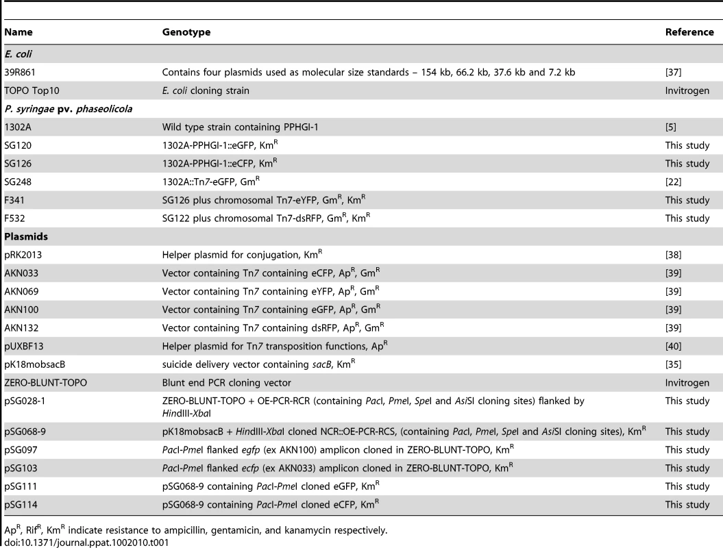 Bacterial strains and plasmids.