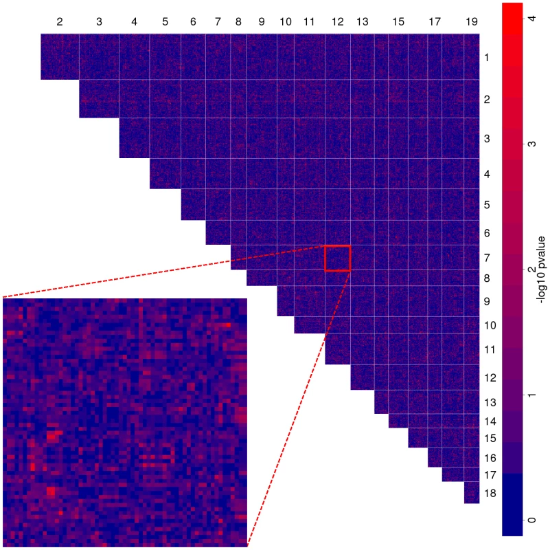 Genome-wide map of allele incompatibilities.