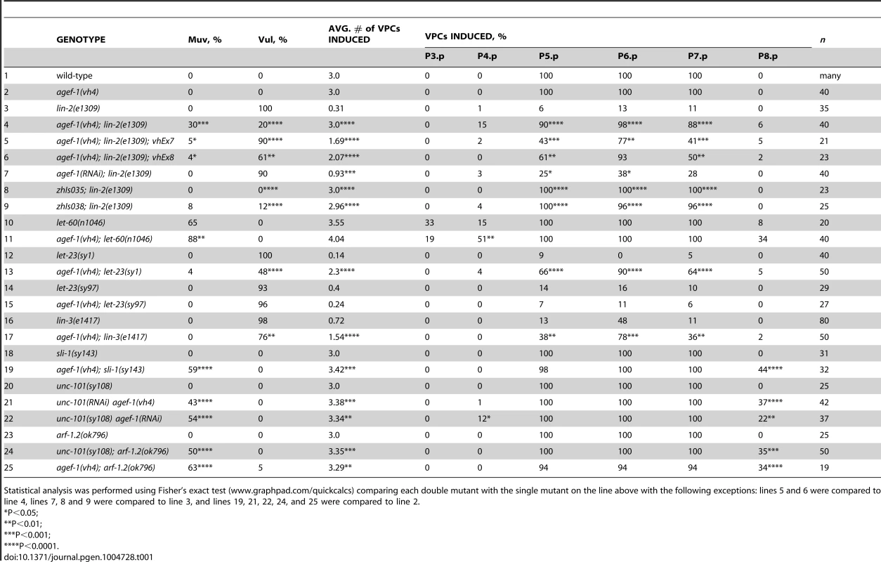 AGEF-1 is a negative regulator of EGFR/Ras/MAPK signaling during vulva induction.