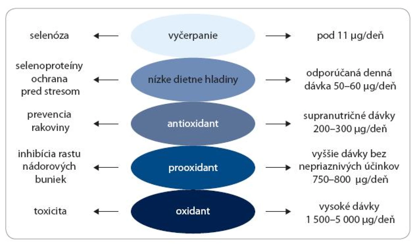 Predpokladané aktivity selénu v závislosti od dávky.
