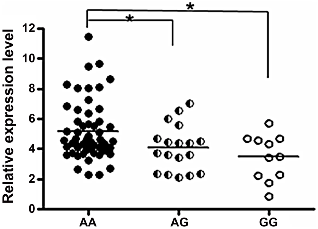 Comparison of <i>miR-146a</i> expression levels between groups of healthy individuals with different rs57095329 genotypes.