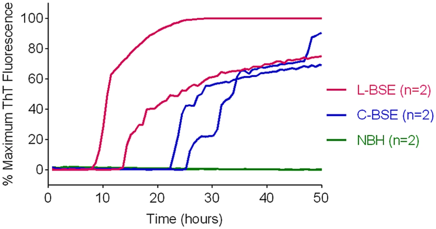 Detection of Classical (C-BSE) and atypical (L-type BSE) with BV rPrP<sup>Sen</sup> substrate.