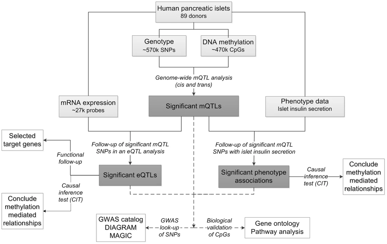 Flow-chart showing the analysis pipeline.