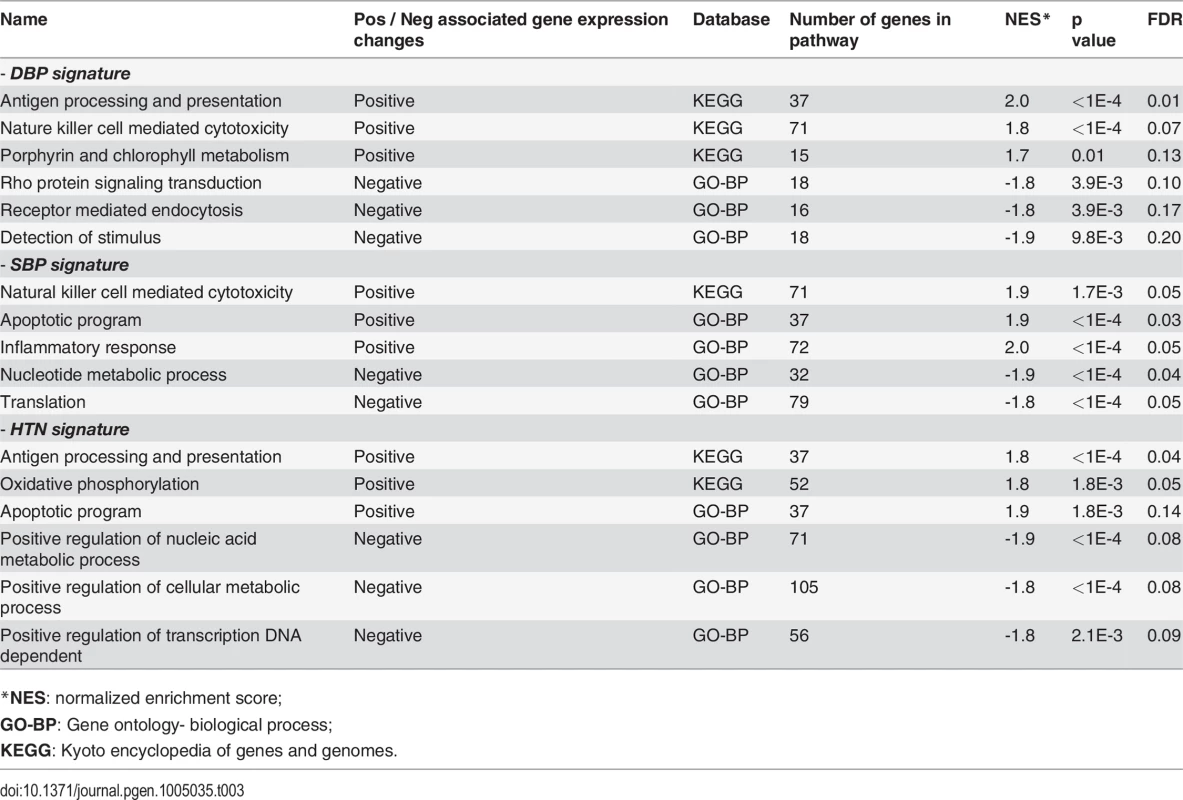 Gene set enrichment analysis for BP associated gene expression changes.
