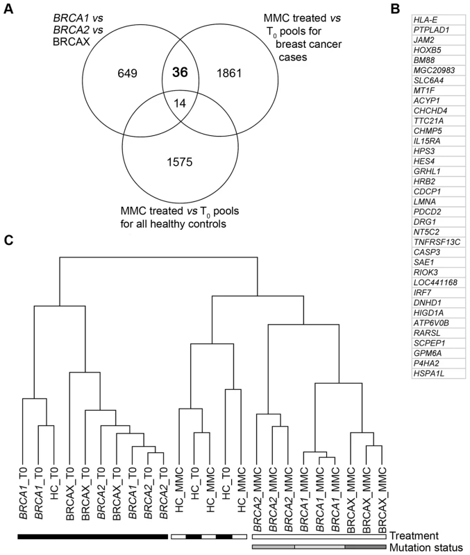 Classifying <i>BRCA1</i>, <i>BRCA2</i>, and BRCAX subtype by MMC response genes.