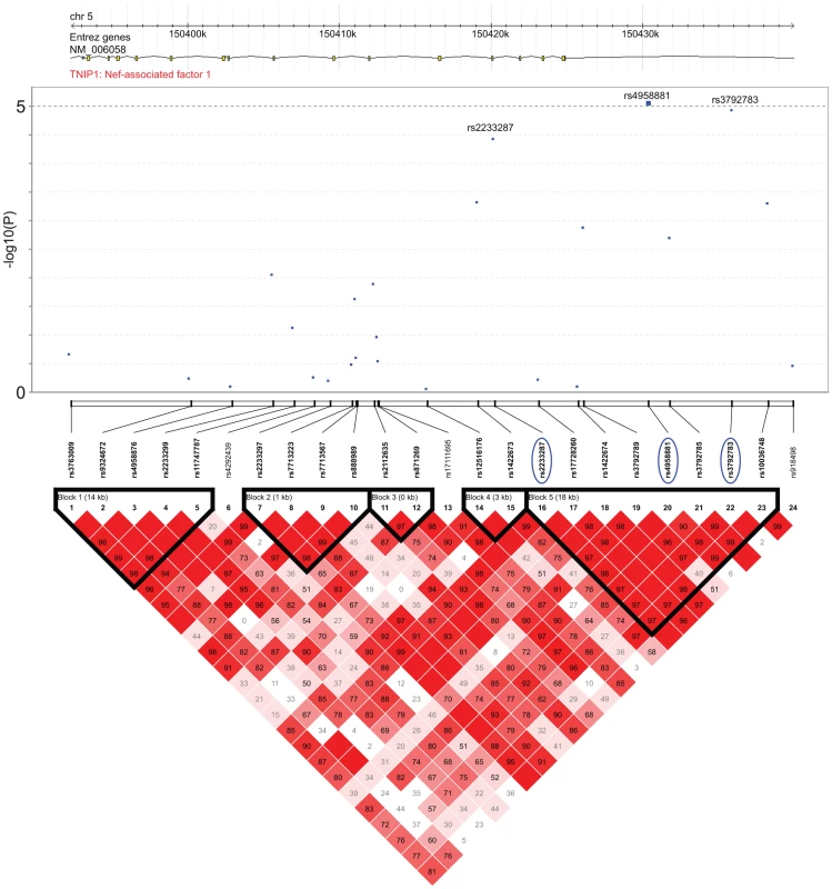 Association and linkage disequilibrium patterns at the TNIP1 gene.