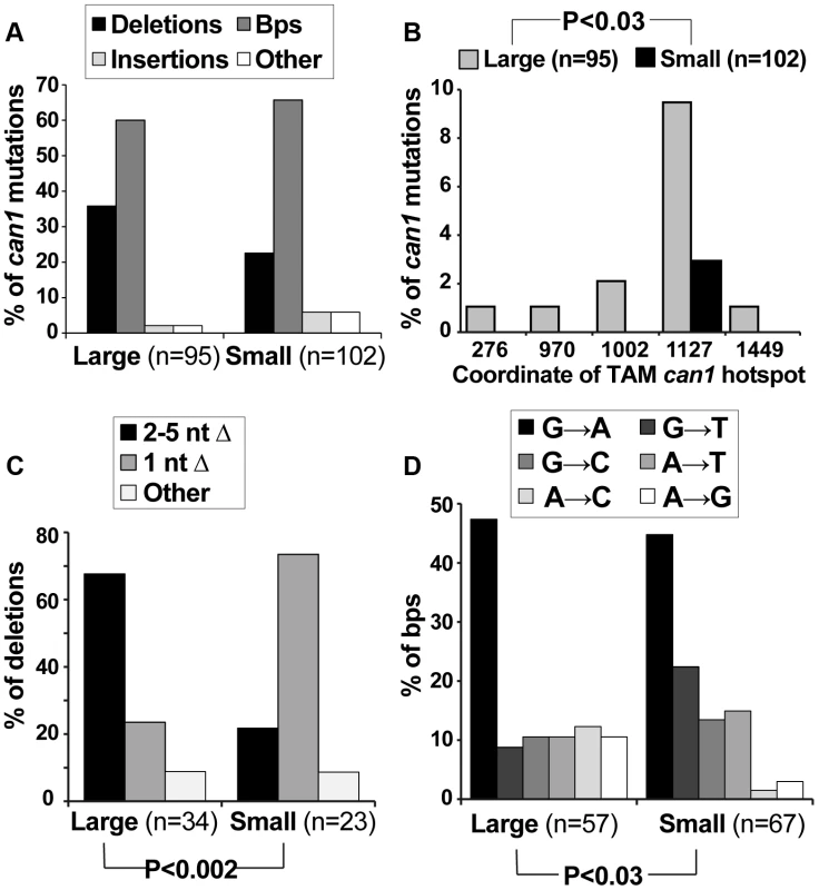 Mutation spectra of <i>can1</i> mutants generated on canavanine plates exhibit several significant differences with those generated in culture.