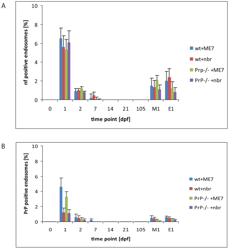 Quantification of neurofilament- and PrP-positive late endosomes.