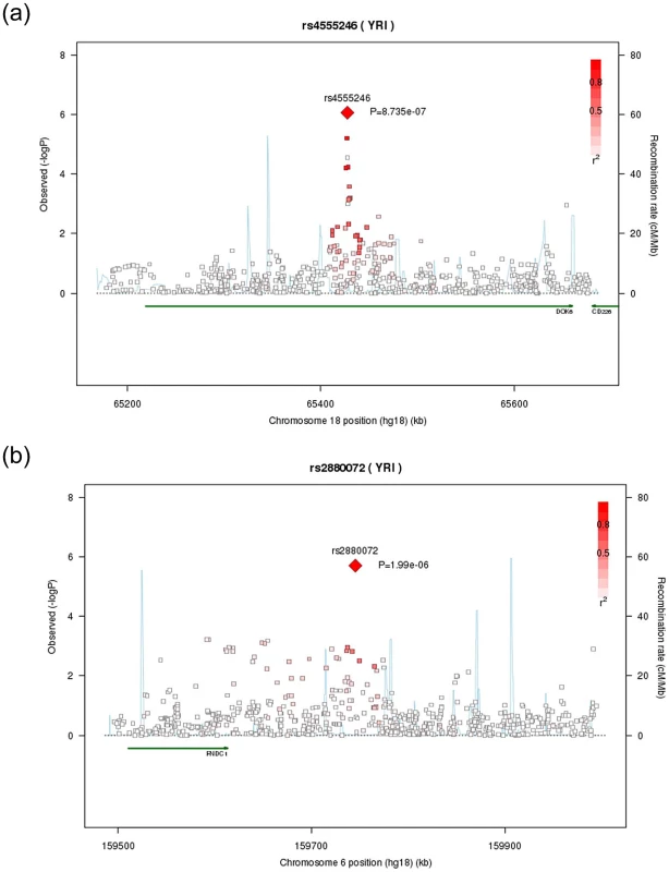 Regional association plots for <i>DOK6 and FNDC1</i>.