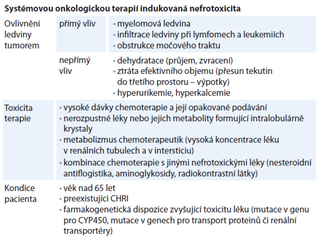 Mechanizmus poškození ledvin.