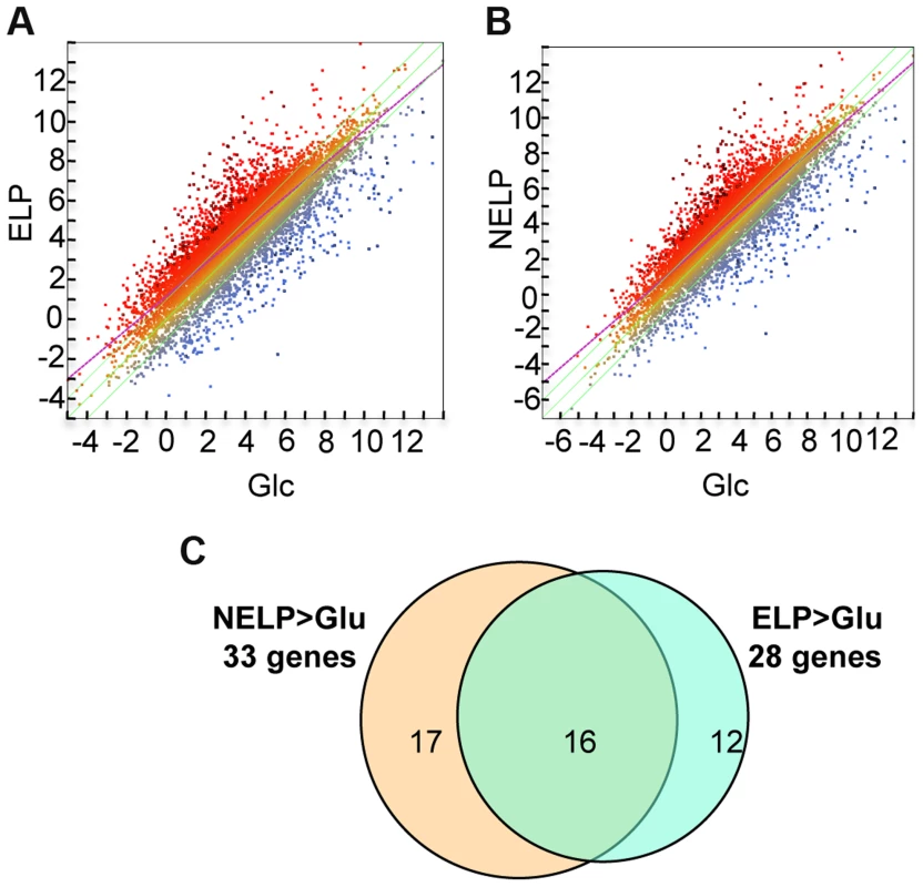 <i>P. gigantea</i> transcriptome.