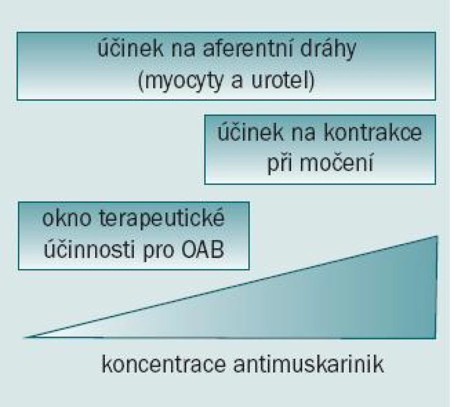 Vysvětlení pro užívání antimuskarinik při léčbě OAB/DO. Blokáda muskarinních receptorů v detruzoru i mimo něj může zabránit vzniku symptomů OAB a DO bez současného potlačení kontrakcí během močení.
