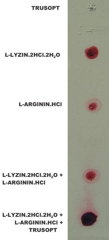 Výsledok vyšetrenia ninhydrínovým činidlom na prítomnosť voľných aminokyselín a peptíd na tenko vrstevnej chromatografii (vysvetlenie v texte).