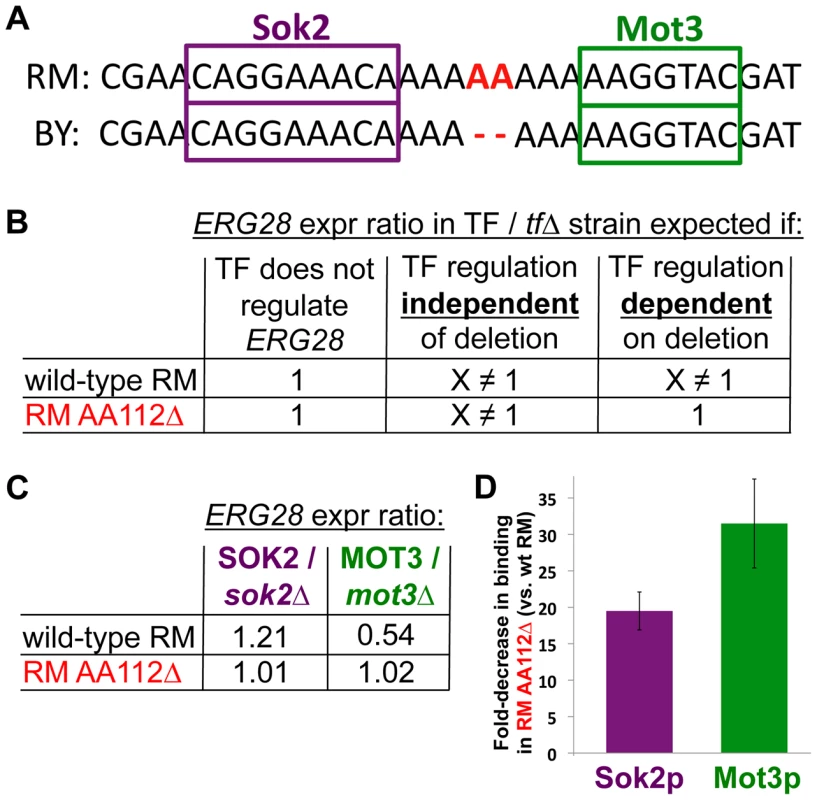 Determining the molecular mechanism of the causal mutation.