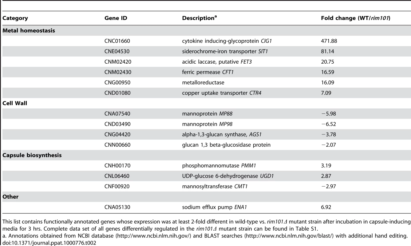 Subset of Rim101-dependent gene expression in capsule-inducing conditions.