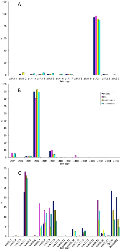 Transcript levels of the youngest zein gene copies prevail at each of the loci analyzed in B73, BSSS53, and their reciprocal crosses.
