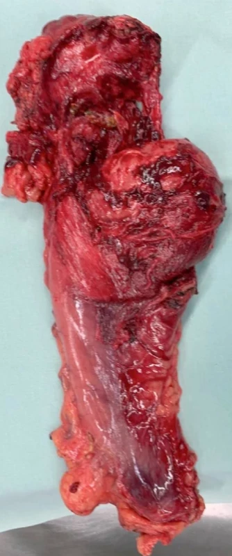  / Fig. 4
