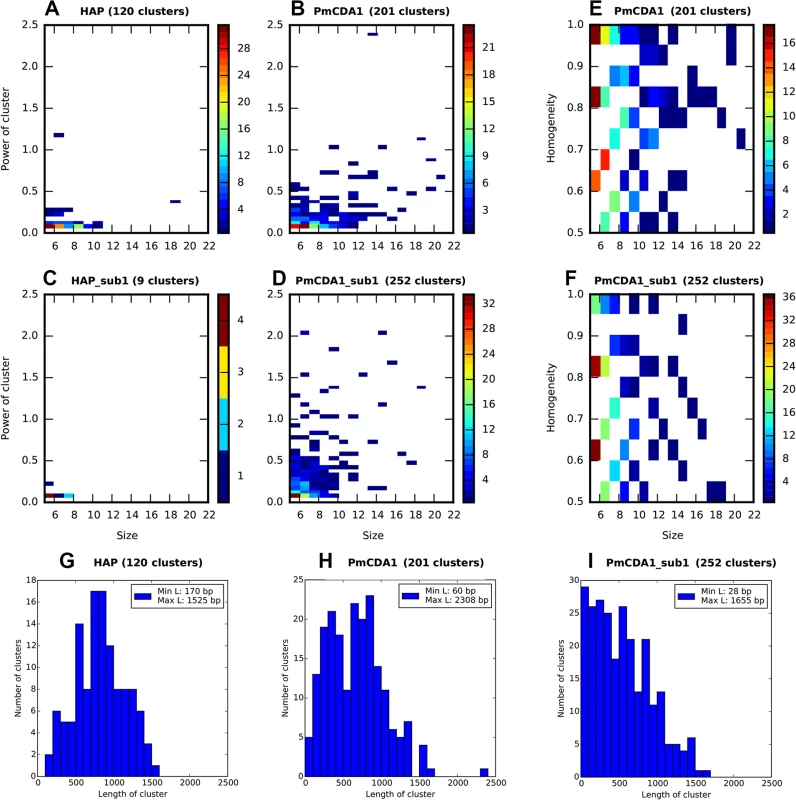 PmCDA1 induces diverse clusters of mutations in diploid yeast genome.