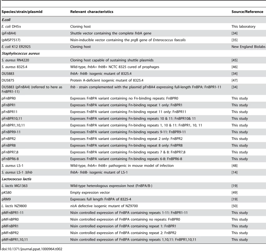 Bacterial strains and plasmids used in this study.