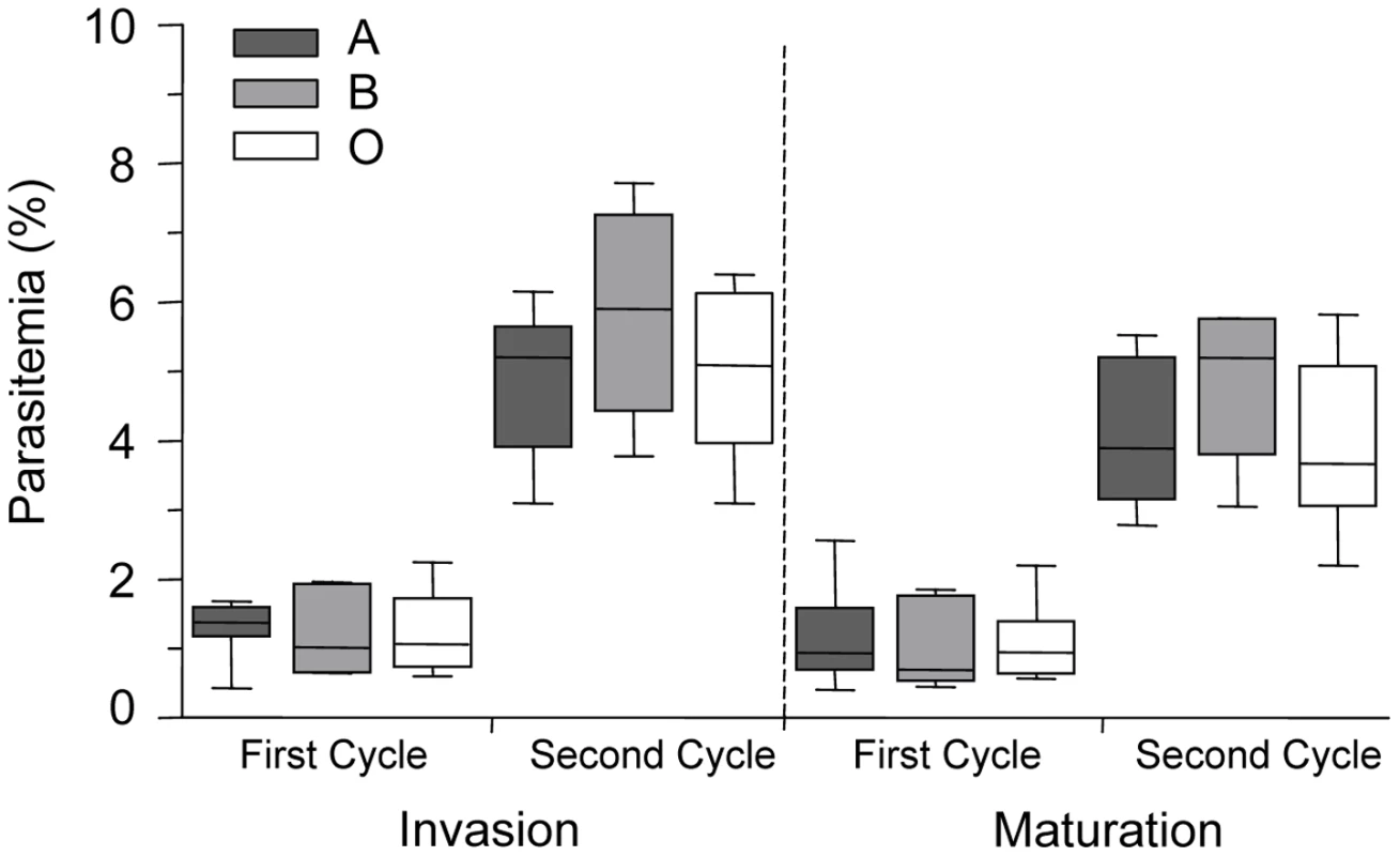 <i>P. falciparum</i> parasite invasion of A, B and O erythrocytes.