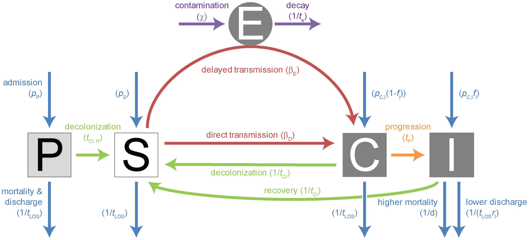 Compartmental model for single strain.
