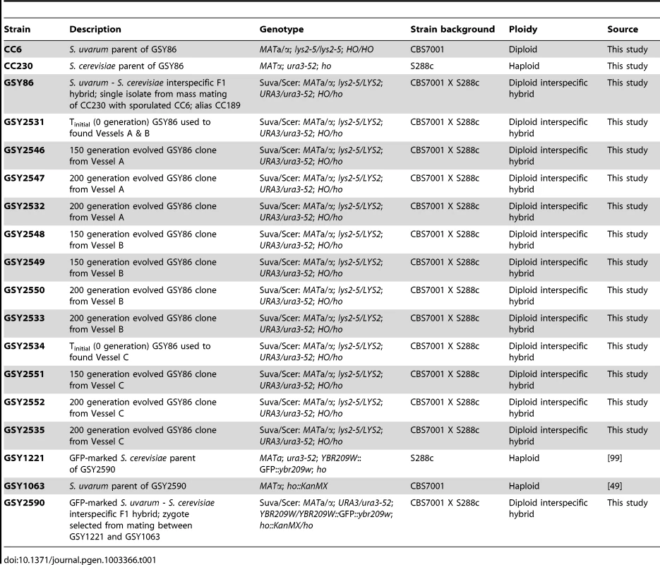 Strains used in this study.