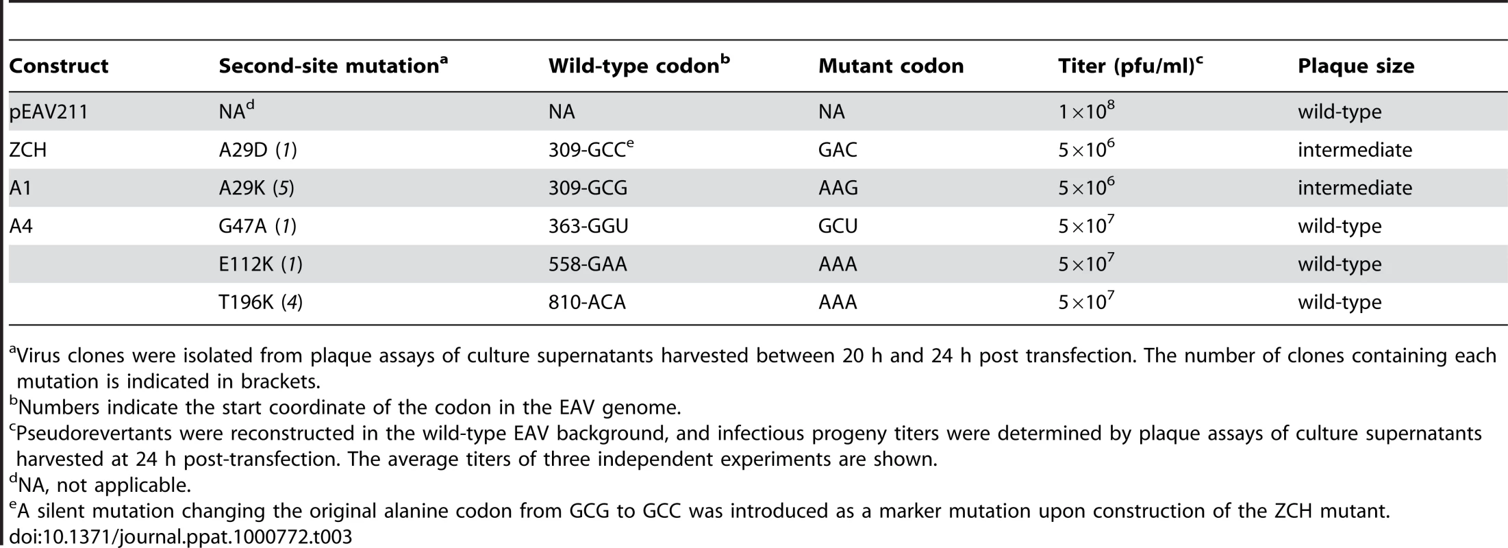 Overview of EAV nsp1 pseudorevertants described in this study.