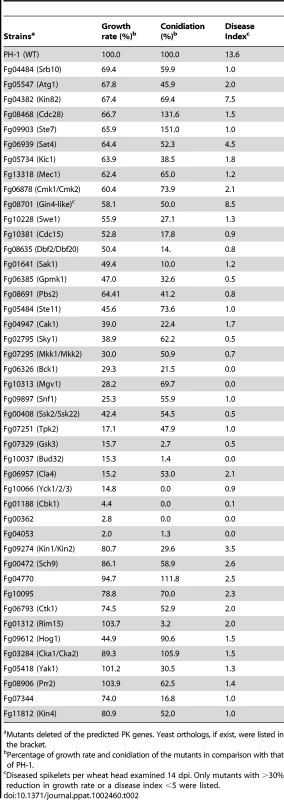 Protein kinase genes important for vegetative growth and/or pathogenesis.