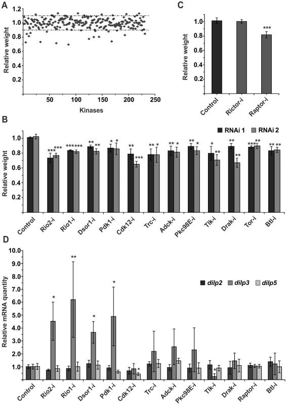 Kinome-wide screen identifies novel regulators of IPCs.