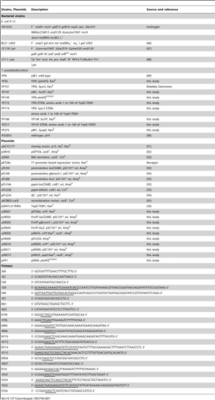 Bacterial strains and plasmids.