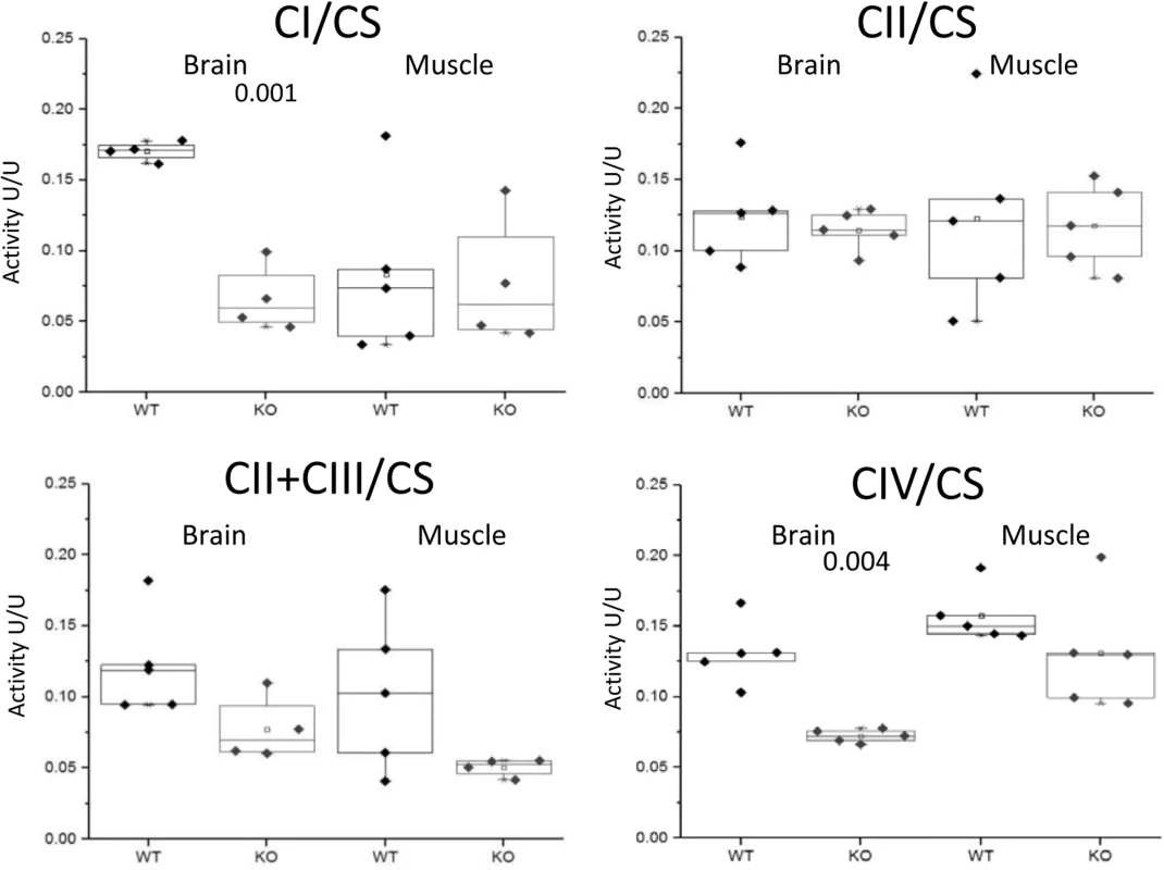 Enzymatic activities of respiratory chain complexes.